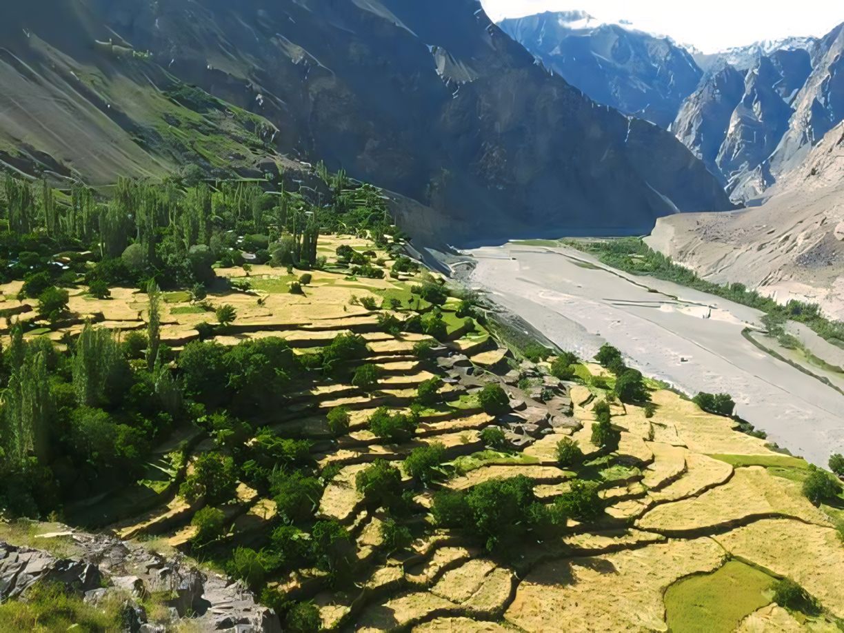 Border Village Tyakshi